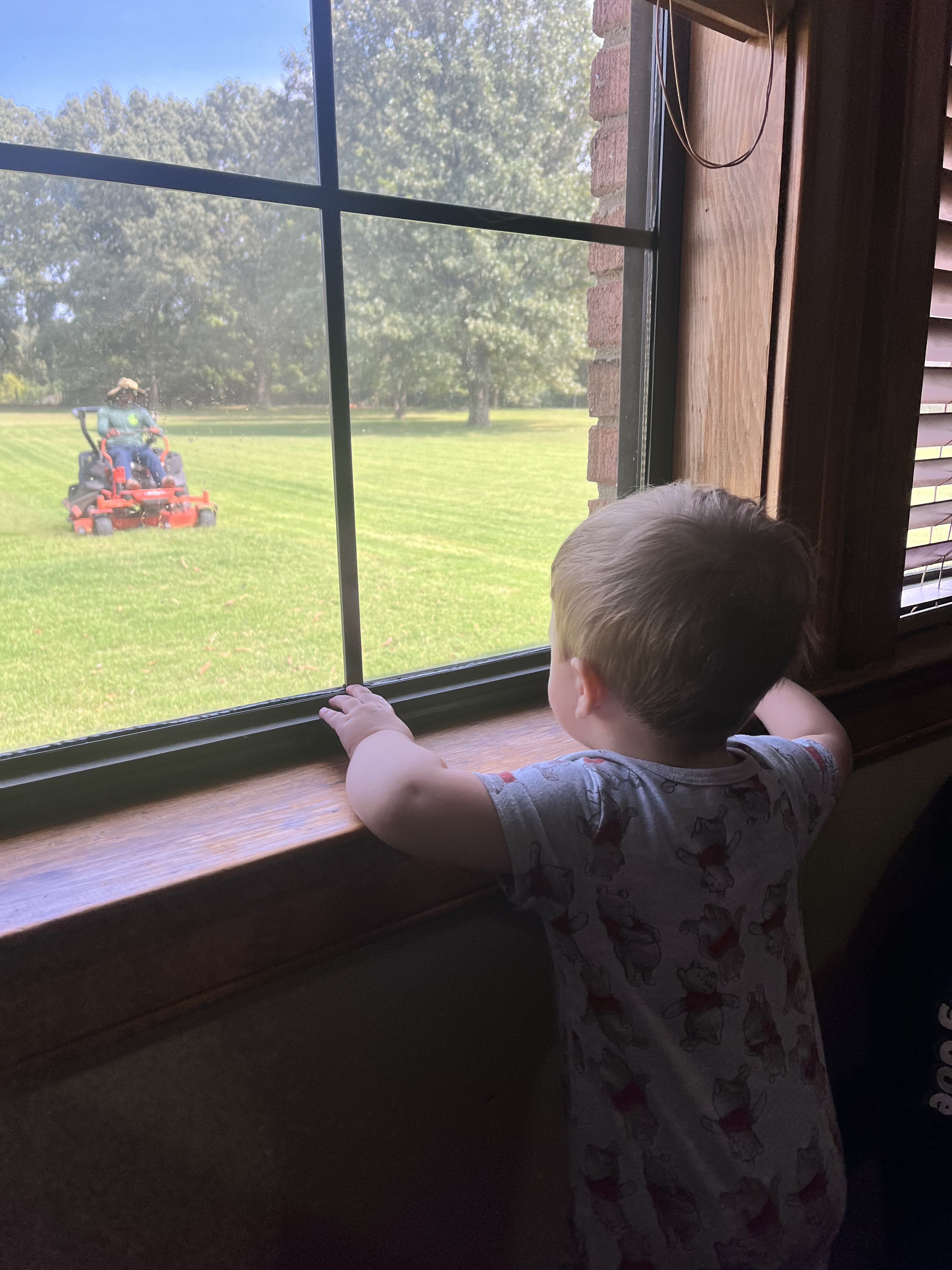 A baby looking out at a mower